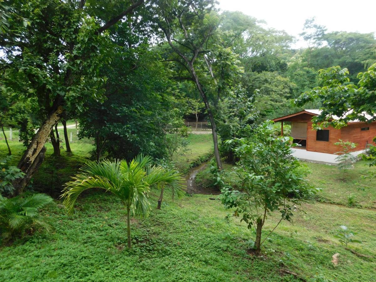 Sámara Villasjungle 2 מראה חיצוני תמונה